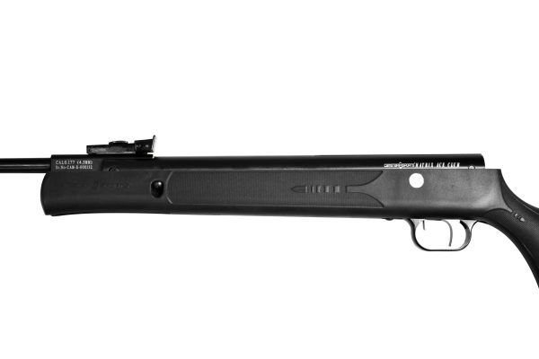 Star X1 (PCP) - Image 3